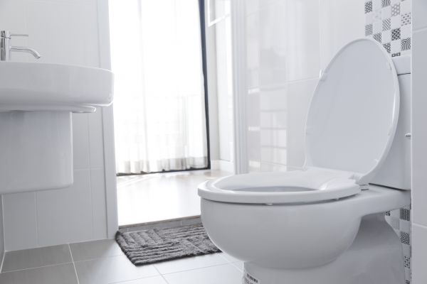Cost of Toilet Seat Installation in Longview