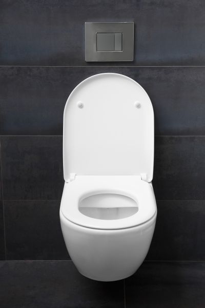 Cost of Toilet Lid Installation in Longview