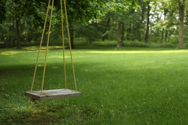 Cost of Rope Swing Installation in Longview