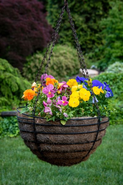 Cost of Hanging Basket Installation in Longview