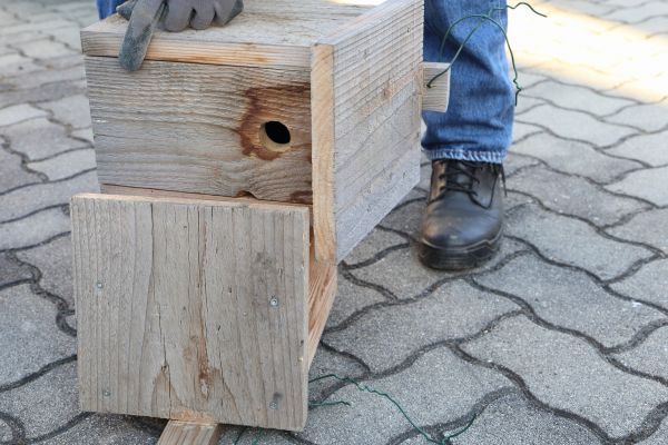 Cost of Birdhouse Mounting in Longview