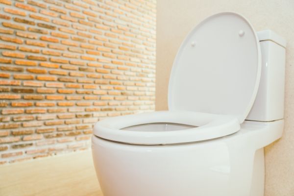 Cost of Toilet Seat Repair in Longview