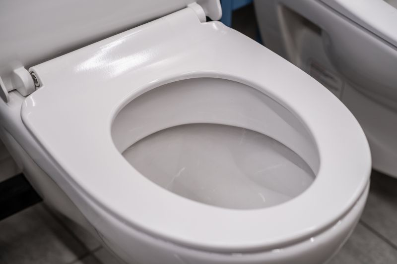 Toilet Lid Installation